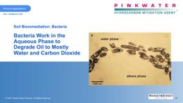 Slide 36 thumbnail